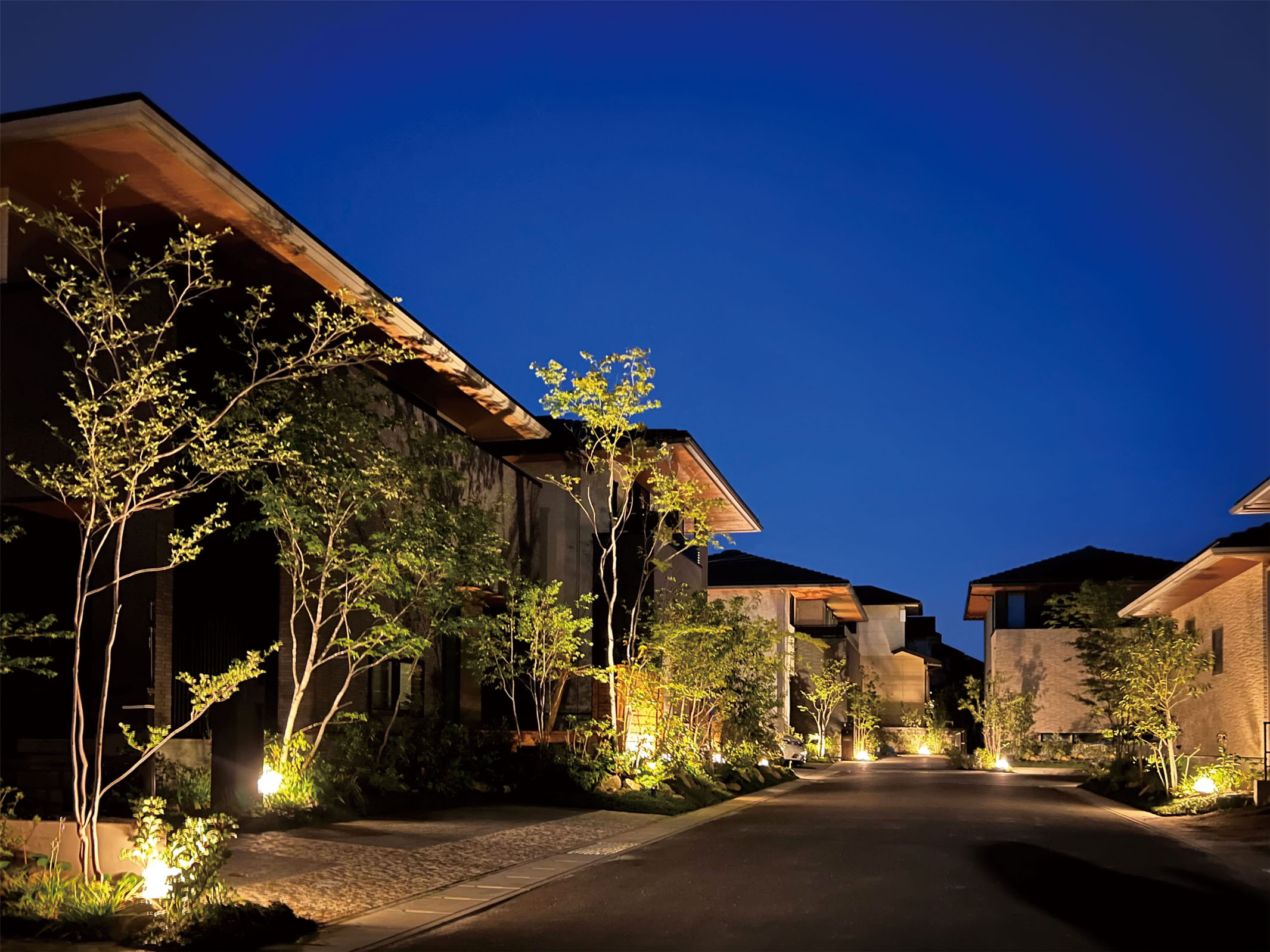 ファーストビュー画像2