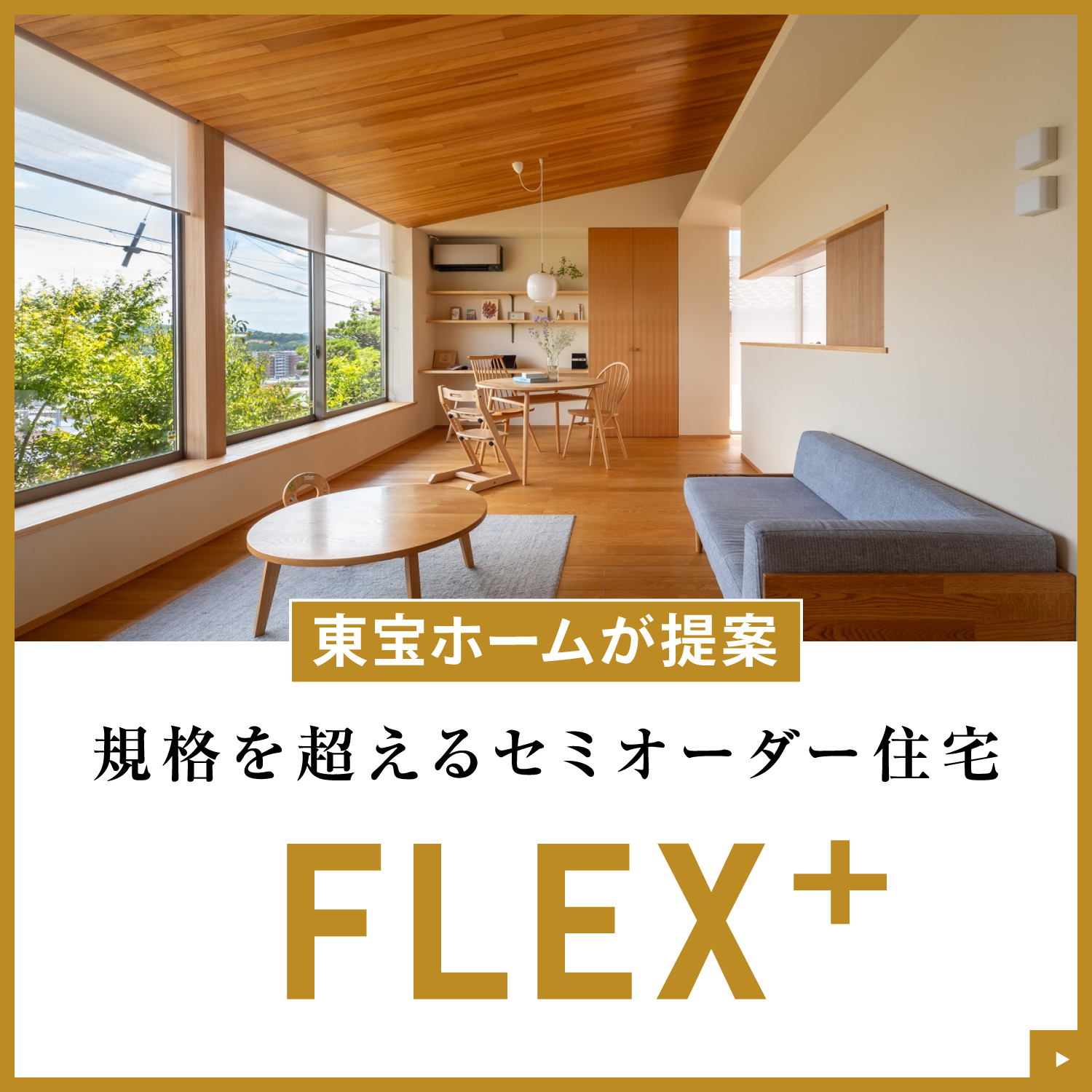 FLEX+