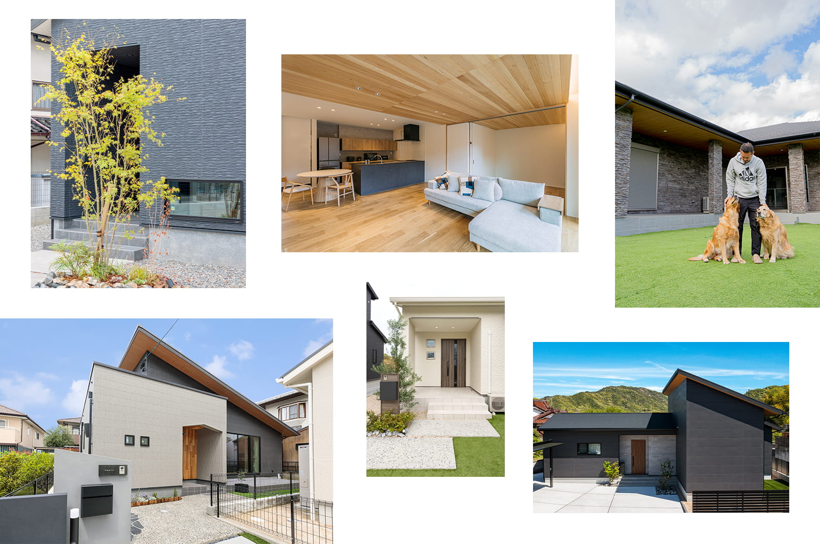 平屋外観写真 6点